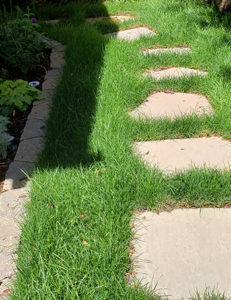 grass path stones